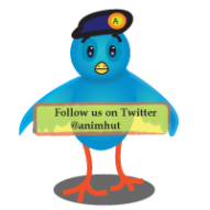 Twitter Bird | Project365 #1