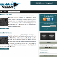 SEO Optimized | WordPress pltheme theme
