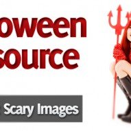 70 Hot and Scary Halloween Premium Stock Images