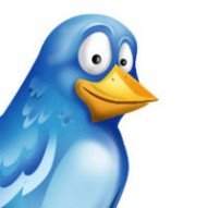 Add Twitter Id field to comment form in 5 easy steps