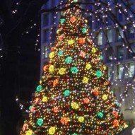 25 Awesome Christmas Lights Photos