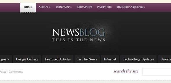 eNews Premium WordPress Theme by Elegant Themes