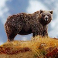30 Latest National Geographic Wallpapers