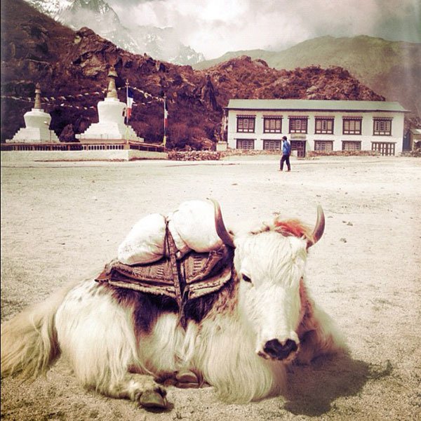 100+ Popular Instagram Photography for Facebook Fans
