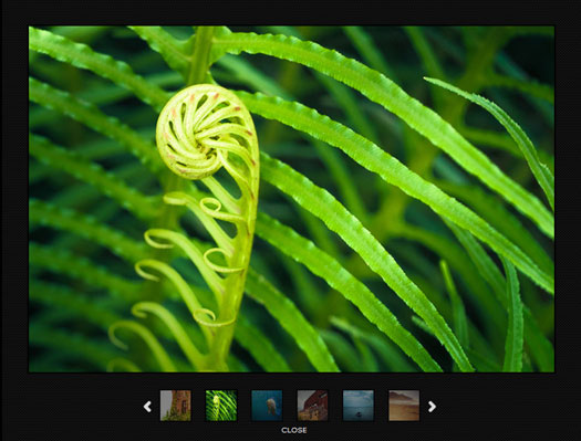 jQuery Image Gallery with Twelve Transition Effects