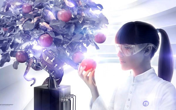 Best Desktopography 2013 Wallpaper HD Edition for Free