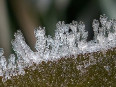 How to take Macro Snowflakes Photography under $50 Customized Lens