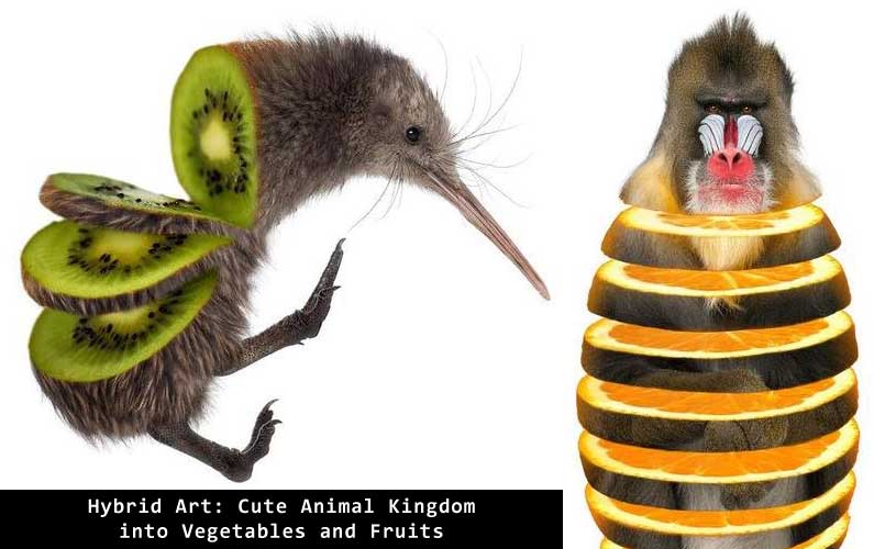 Hybrid Art: Cute Animal Kingdom into Vegetables and Fruits